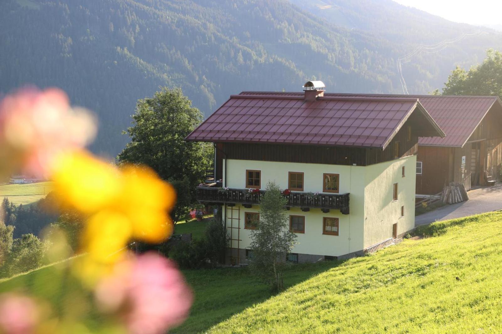 Apartament Molteraugut Mühlbach am Hochkönig Zewnętrze zdjęcie